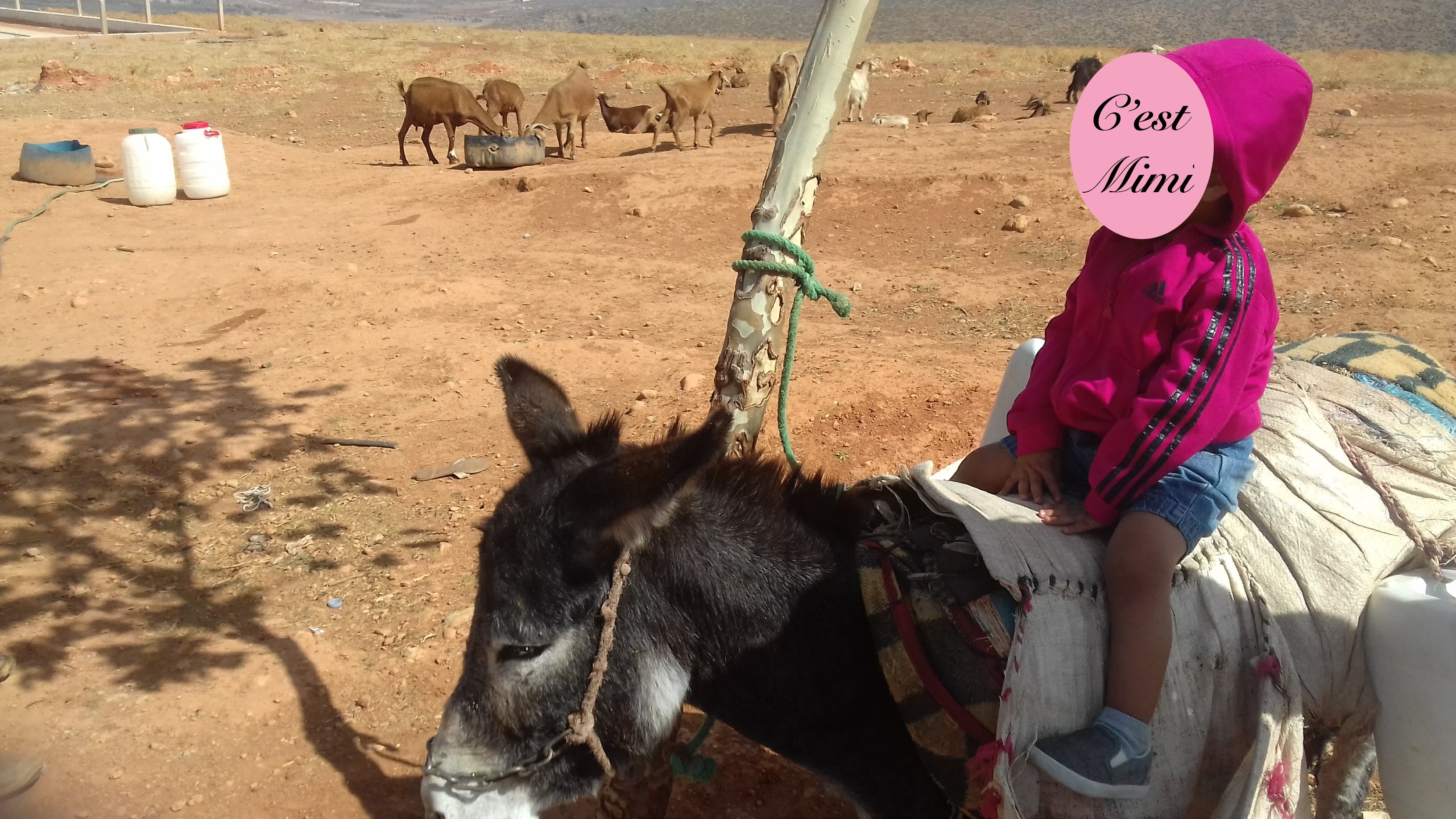 Mimi et maman étaient en vacances au Maroc